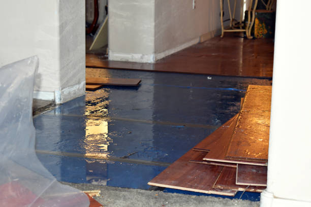 Professional Basement Water Removal technician working in Cleveland, MO